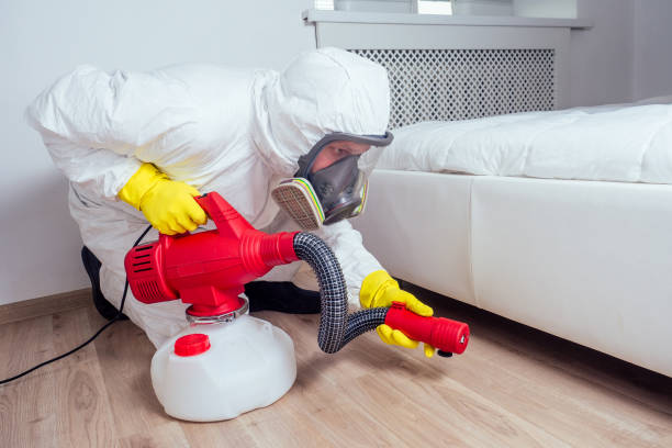 Best Fumigation Services  in Colfax, IL